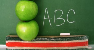 Teachers